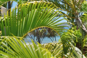 A tropical setting with palm trees and a view of the sea.
