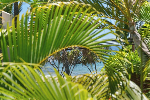 Condo (2 Bedrooms) | Property amenity - Maui Banyan A-202 by Maui Rental Group (Kihei)