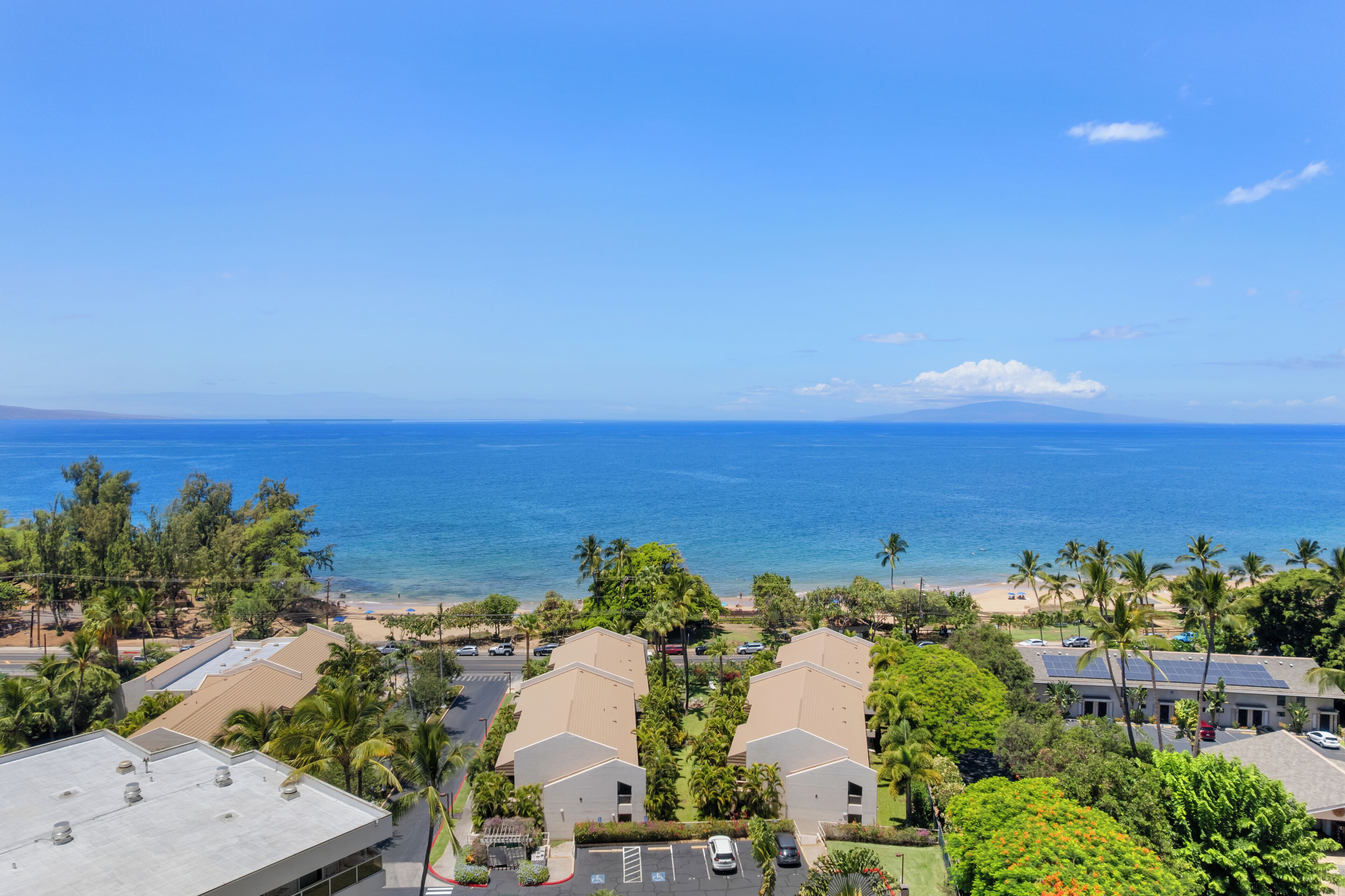 A coastal view with a beach, palm trees, and a clear sky.
