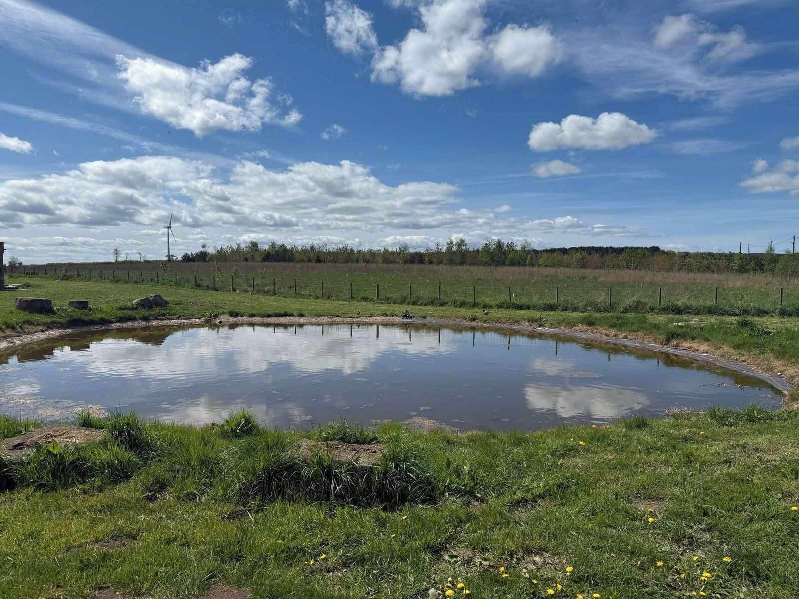A pond surrounded by grass and a fence, with a clear sky above.