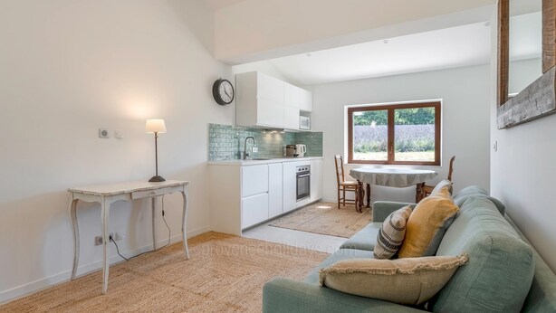 Een compacte leefruimte met een kitchenette, een eethoek en een zithoek met een bank en een tafel.