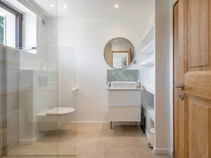 A modern bathroom with a glass shower enclosure, a toilet, a sink with a mirror, and a wooden door.