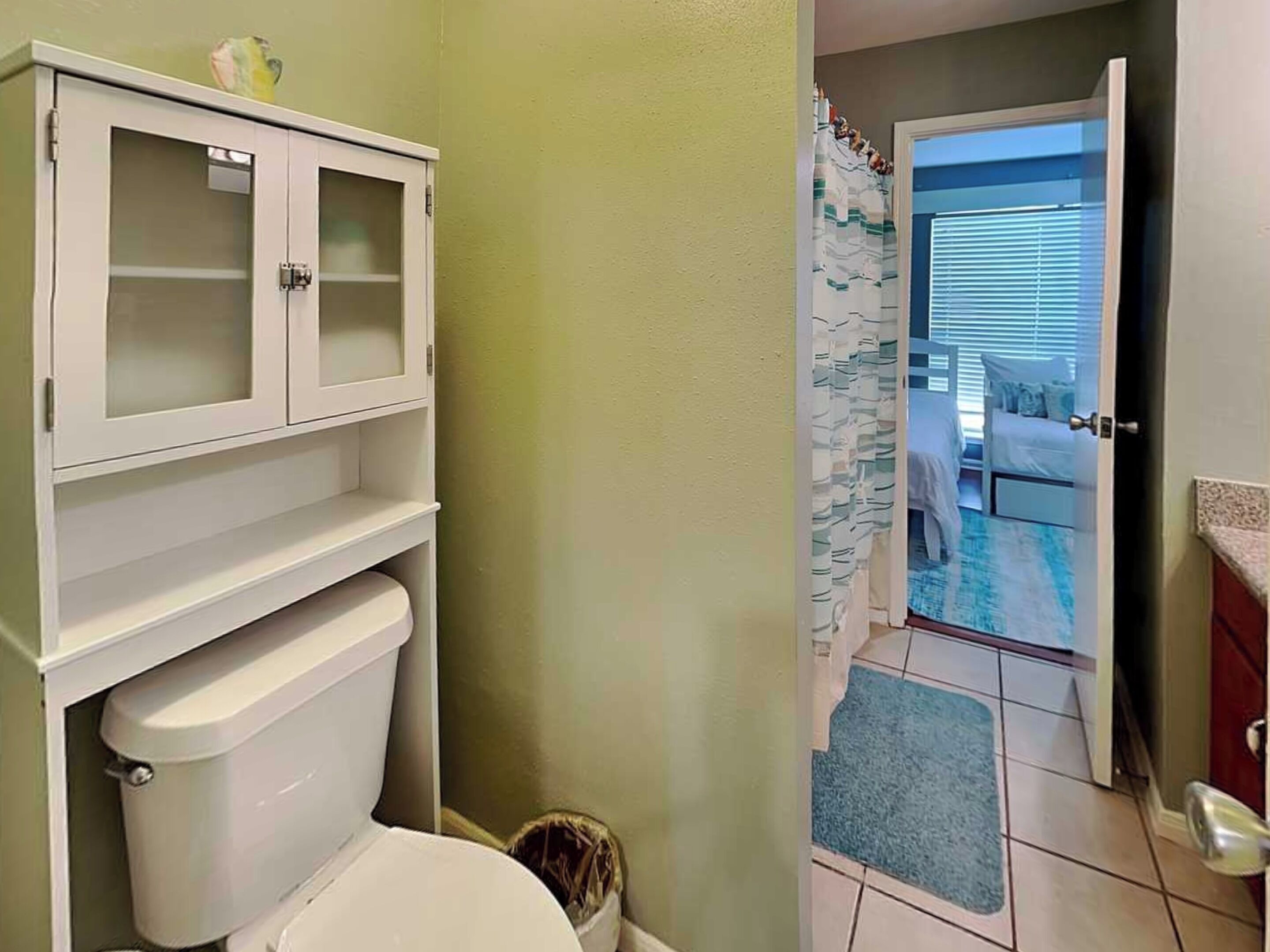 A bathroom with a toilet, cabinet, and shower curtain.