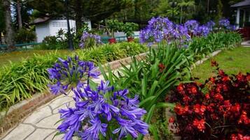 Jardim