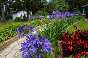 Jardin