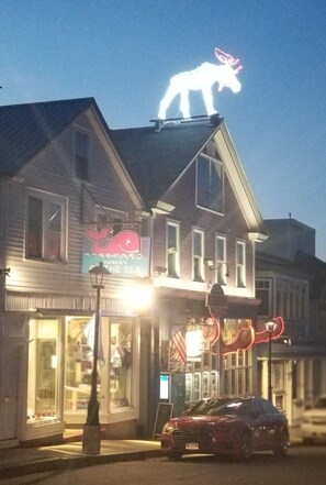 A building with a neon whale sign, a neon moose sign, and a neon sign that reads "Patricia's The Sea."