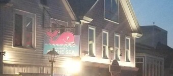 Quiet 1 BR Bar Harbor Home, sleeps 2-4, walk to downtown