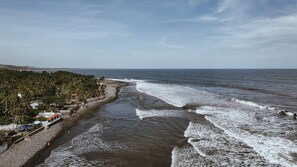 A beach with palm trees and a rocky shoreline. - Beachfront Point Break Villa @SurfCity (Conchalio)