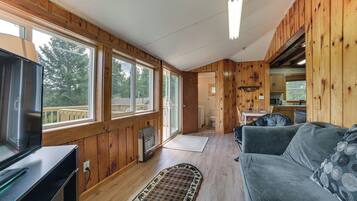 Televisión y chimenea