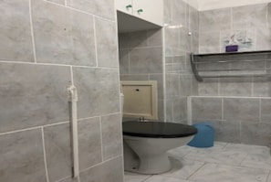 Shower, hair dryer, towels, toilet paper