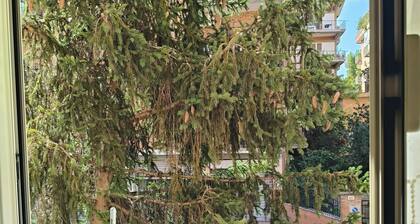 Delightful Rome apartment -Vatican 9' from the Battistini metro