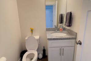 Douche, sèche-cheveux, serviettes fournies, papier toilette