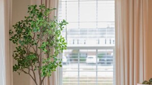 A room with a round wooden table, two chairs, a potted plant, and a window with curtains. - Brand-New 3BR Townhome | KING BED | Great Location (Lynchburg)