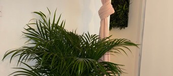 La Cabane Perchée - Heart of Saint-Brieuc