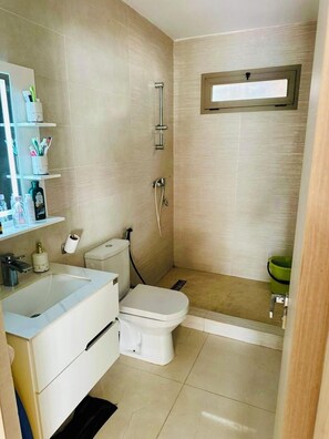 Shower, toilet paper - House with swimming pool 7 minutes from the beach by car (Tamaris)