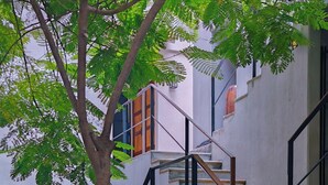 A staircase with stone steps leading up to a white building, surrounded by lush greenery and a tree. - PISCIS CONDO
Dawn overlooking the most beautiful bay in Mexico. (Zihuatanejo)