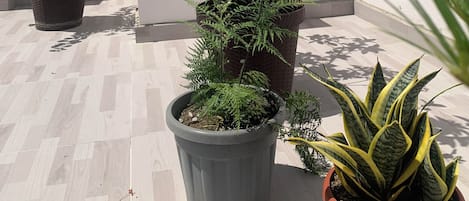المنطقة المحيطة بالمنشأة