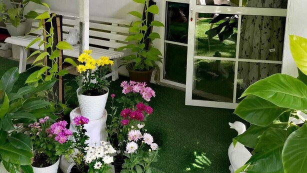 Un pequeño jardín con plantas y flores en macetas, un banco blanco y una ventana con vistas a un césped verde.