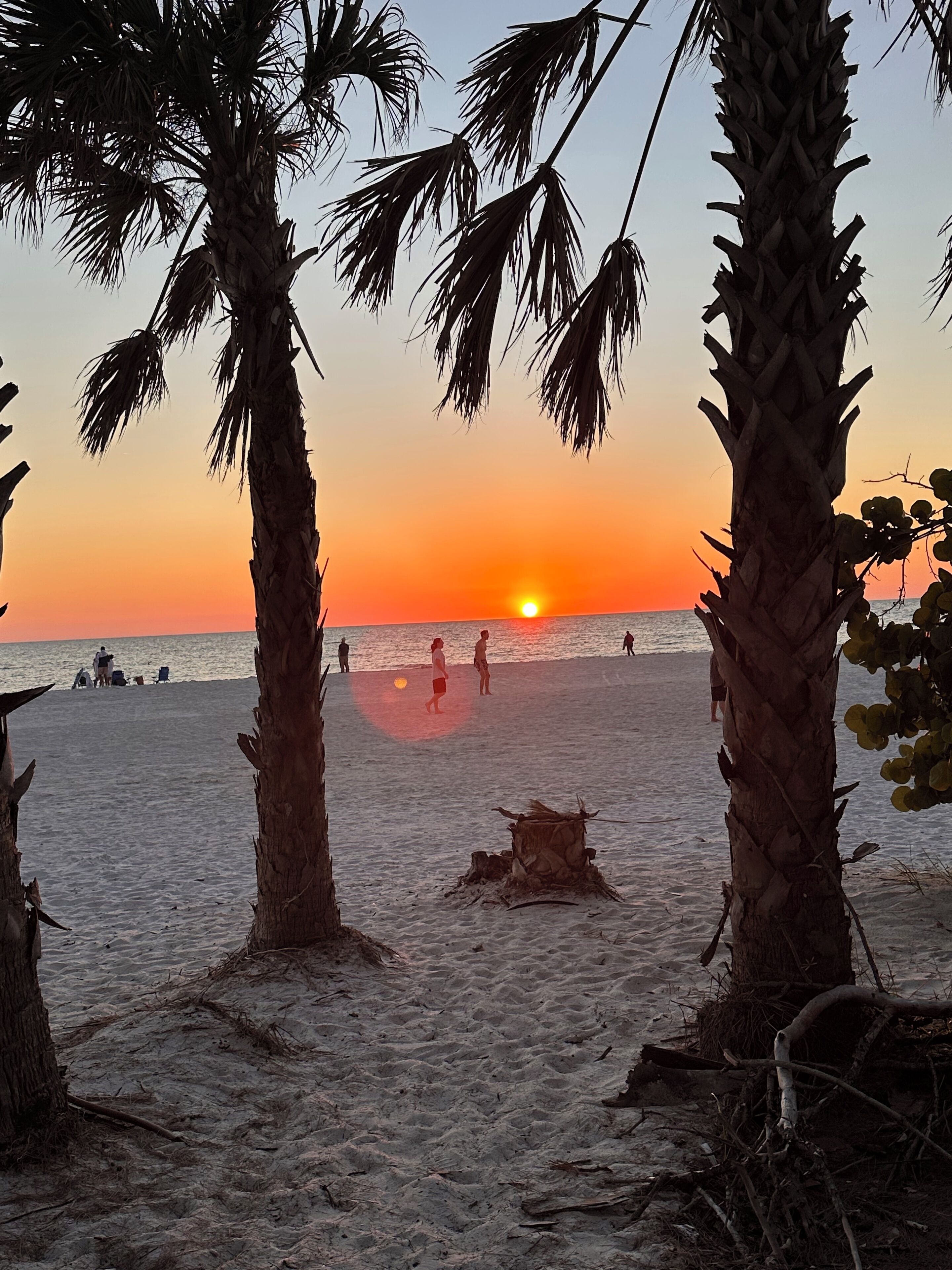 Sun-loungers, beach towels