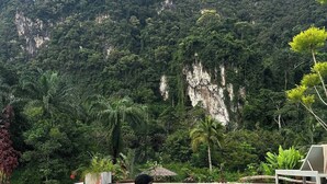 Ảnh chưa phân loại, 2 trong số 54 ảnh, nút
