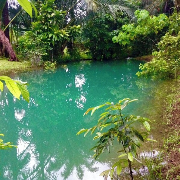 Villa, 2 Bedrooms, Accessible, Smoking | Property grounds