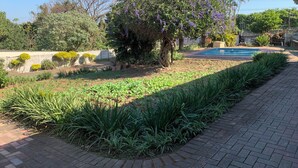 Un jardin avec une piscine, un chemin en briques et différentes espèces de plantes.