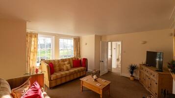 TV, fireplace, DVD player, books