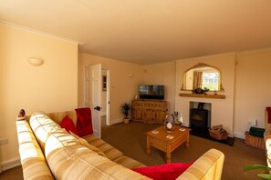 TV, fireplace, DVD player, books