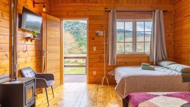 Ein gemütliches Cabin-Zimmer mit Bett, Sessel, Fernseher und Fenster mit Blick ins Freie.