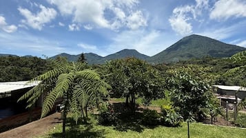A grassy area with trees and a mountain in the background.