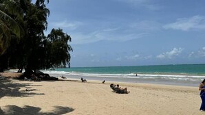 A beach with clear skies, palm trees, and a calm sea.