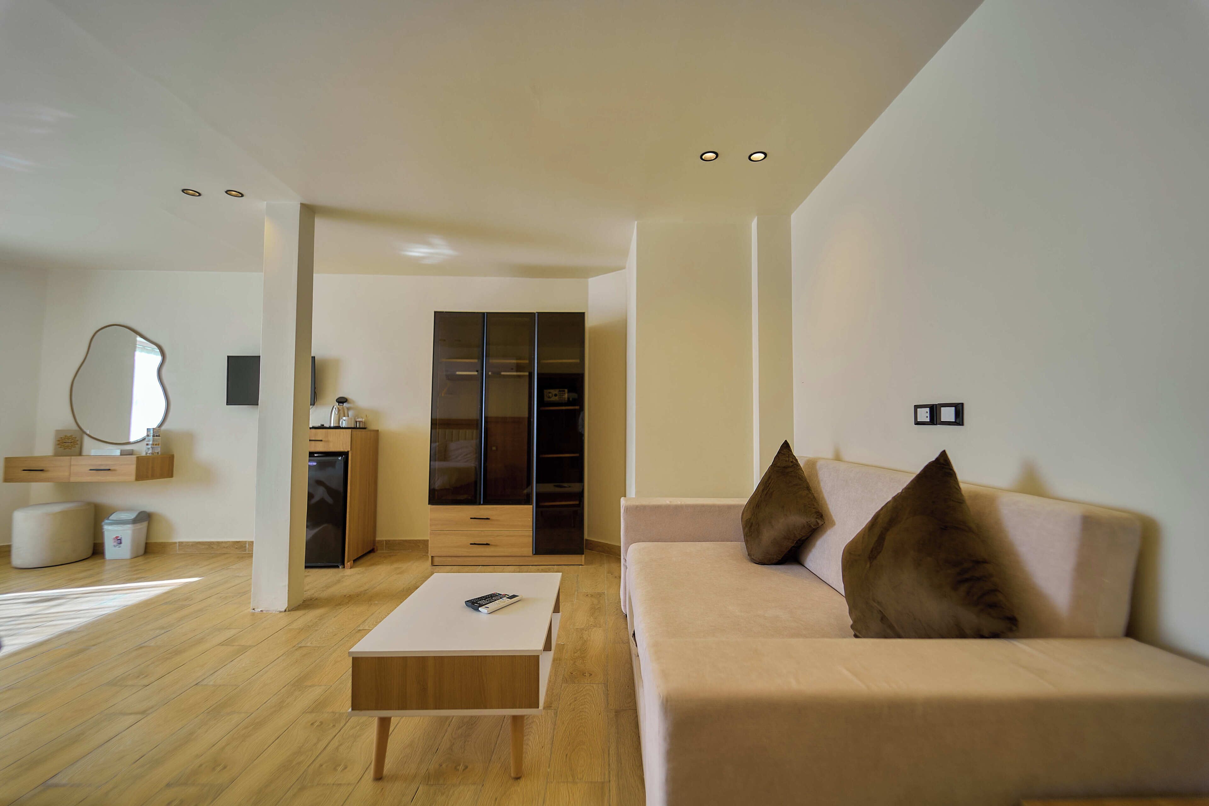 A modern living room with a sofa, coffee table, and a walk-in closet.