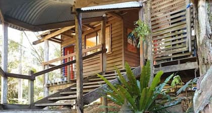 Rainforest Retreat
