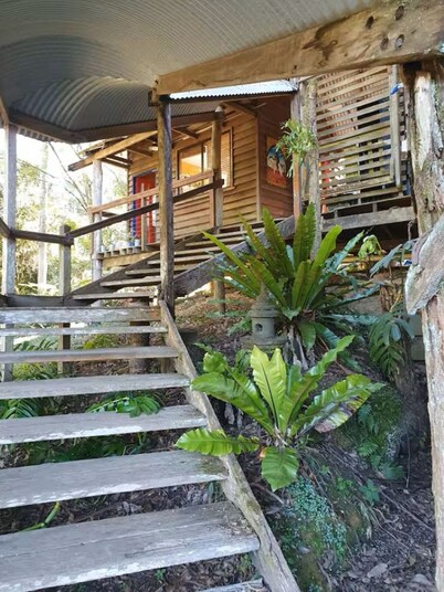 Rainforest Retreat