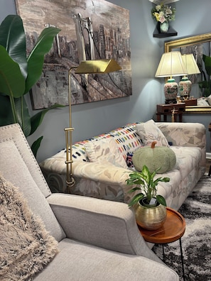 TV connectée, cheminée, livres