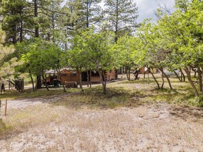 Exterior - Bear's Den (Pagosa Springs)