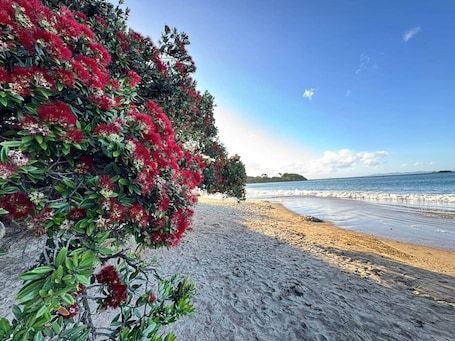 ビーチタオル. Casa Playa de los osos | Coopers Beach Sea Views