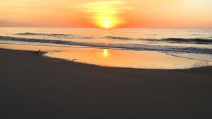 A beach scene with the sun setting over the ocean, waves gently lapping at the shore, and a bird standing on the sand. - Beach Front with Ocean View (Hilton Head Island)