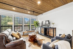 Smart TV, fireplace, books