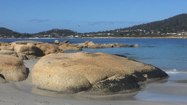 A rocky beach with large boulders and calm water.