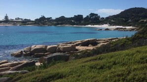 A coastal landscape with clear blue water, rocky shoreline, and green vegetation.