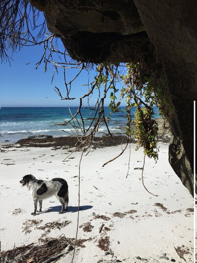 Bicheno Bell a cosy stay for couples and fantastic proximity!