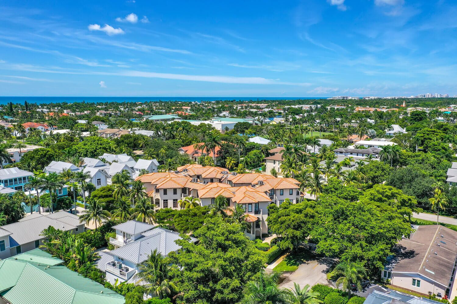 A residential area with houses, palm trees, and a view of the ocean.