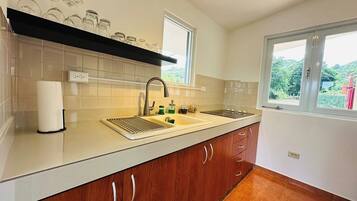 Fridge, microwave, stovetop, coffee/tea maker