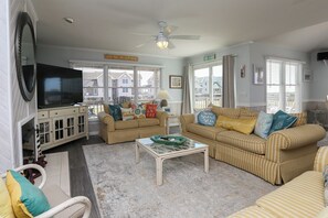 TV, DVD player, video library, stereo