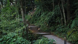 A stone staircase surrounded by dense green foliage, leading up a hill. - Qingcheng Mountain Jiuxipo (Chengdu)