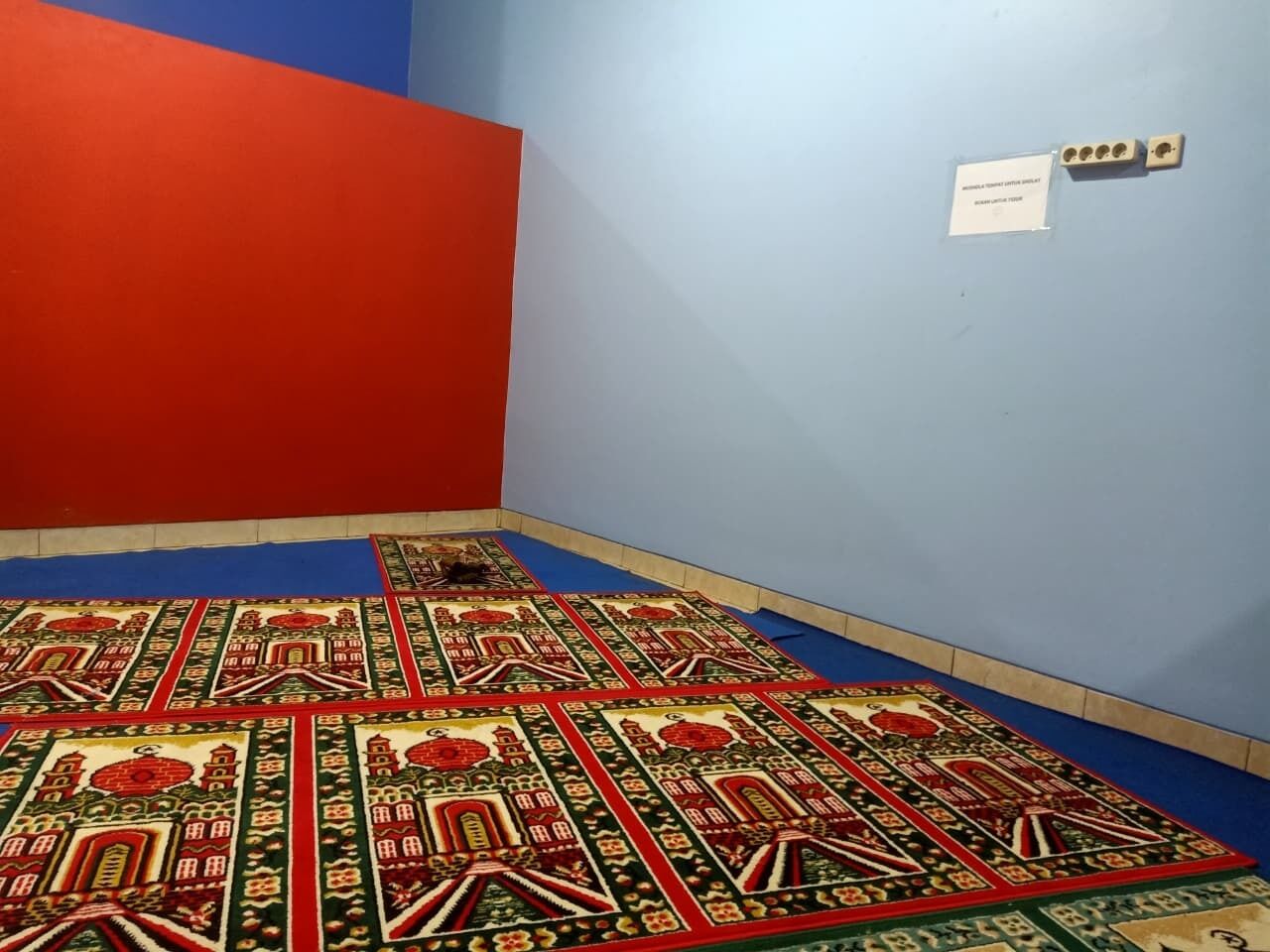 Una habitación con una decoración en tonos rojo y azul, alfombra estampada y un interruptor de luz en la pared.