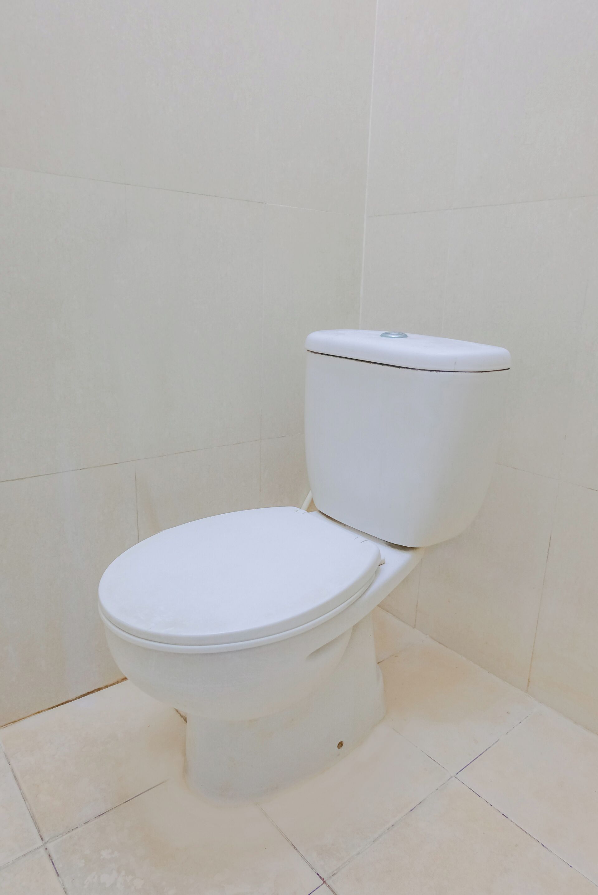A white toilet in a bathroom with tiled walls and floor.