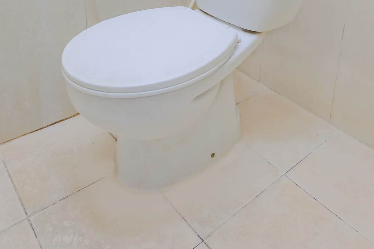 Un inodoro blanco en un baño con paredes y suelo de baldosas.