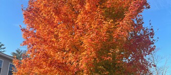 Serene & Charming 2BR Guest Apartment – Near Trails & Downtown Portland